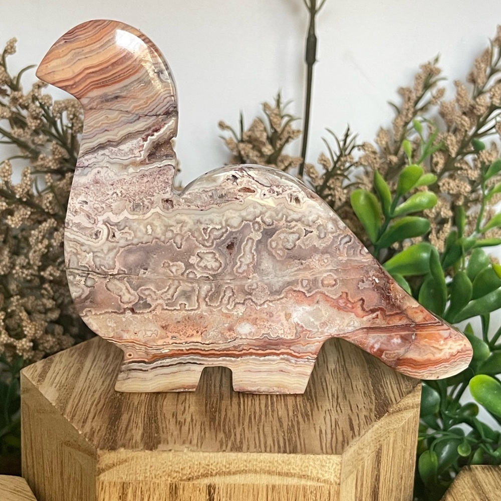 Crazy Lace Dino Carving 3.3in x 4.7in